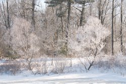 06 10-Feb-13 09-16-03 D300 038